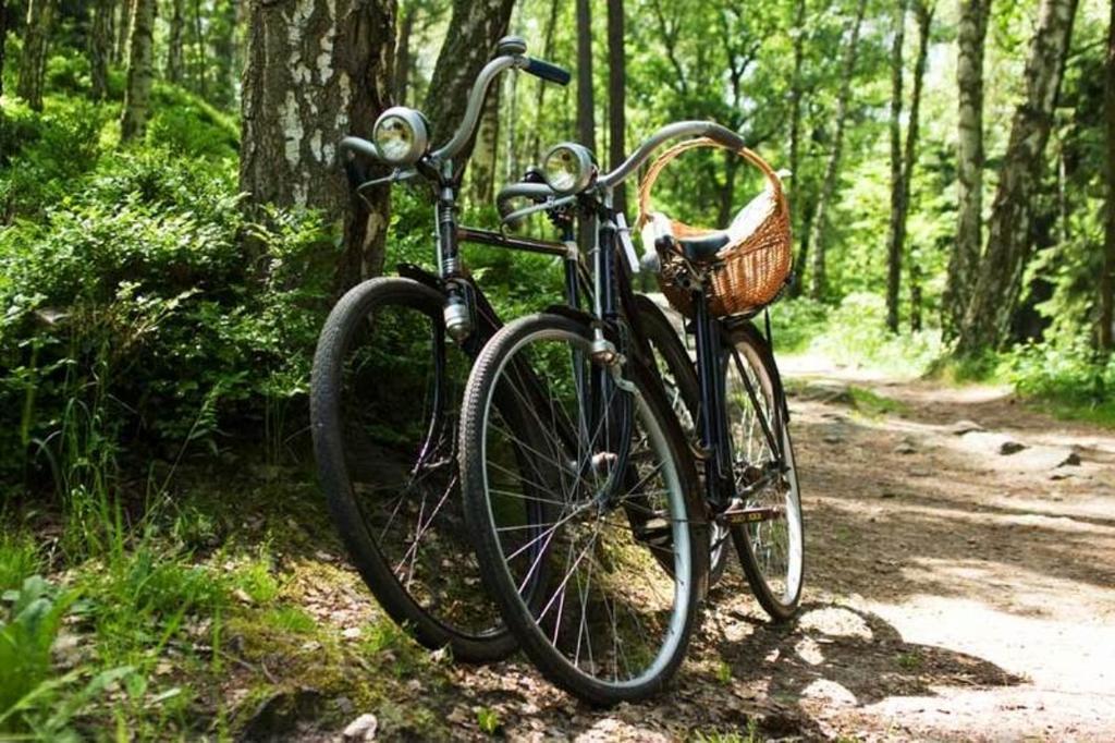 'T Vosseven Vakantiehuizen Stramproy Cameră foto